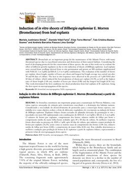 Induction of in Vitro Shoots of Billbergia Euphemiae E. Morren (Bromeliaceae) from Leaf Explants