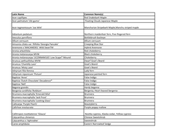 Latin Name Common Name(S) Acer Capillipes Red Snakebark Maple Acer Palmatum 'Uki-Gumo' Floating Clouds Japanese Maple