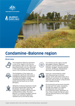 Condamine–Balonne Regional Fact Sheet