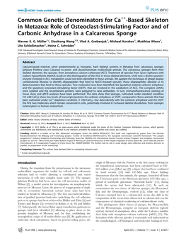 Common Genetic Denominators for Ca -Based Skeleton in Metazoa