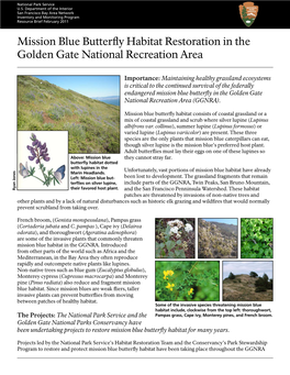 Mission Blue Butterfly Habitat Restoration in the Golden Gate National Recreation Area