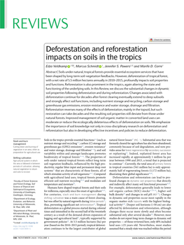 Deforestation and Reforestation Impacts on Soils in the Tropics