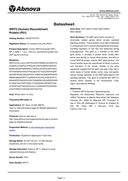 WNT3 (Human) Recombinant Protein (P01)