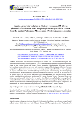 Rodentia, Gerbillinae), and a Morphological Divergence in M