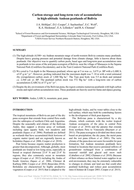 Carbon Storage and Long-Term Rate of Accumulation in High-Altitude Andean Peatlands of Bolivia