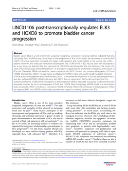 LINC01106 Post-Transcriptionally Regulates ELK3 and HOXD8 to Promote Bladder Cancer Progression Liwei Meng1,Zhaoquanxing1, Zhaoxin Guo1 and Zhaoxu Liu1