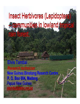 Insect Herbivores (Lepidoptera) – Communities in Lowland Tropical Rain Forest