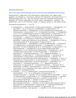 Anthocyanin Biosynthesis 21421.Pdf