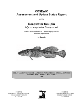 Deepwater Sculpin (Myoxocephalus Thompsonii)