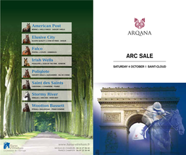 Arc Sale Irishpivotal Et ICELIPS Wells - UNBRIDLED