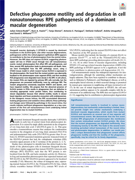 Defective Phagosome Motility and Degradation in Cell Nonautonomous RPE Pathogenesis of a Dominant Macular Degeneration