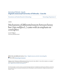 Mechanisms of Differential Toxicity Between Honey Bee (<I>Apis