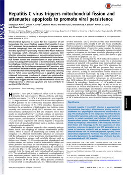 Hepatitis C Virus Triggers Mitochondrial Fission and Attenuates Apoptosis to Promote Viral Persistence