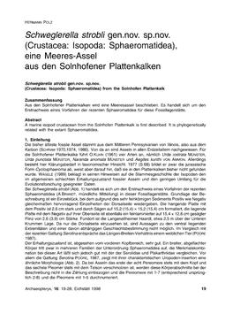 Schweglerella Strobli Gen.Nov. Sp.Nov. (Crustacea: Isopoda: Sphaeromatidea), Eine Meeres-Assel Aus Den Solnhofener Plattenkalken
