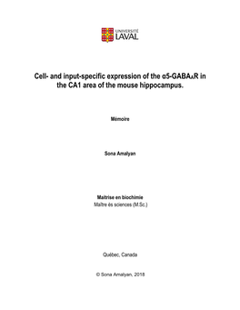 And Input-Specific Expression of the Α5-GABAAR in the CA1 Area of the Mouse Hippocampus