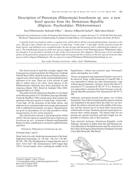 Brazilorum Sp. Nov. a New Fossil Species from the Dominican Republic