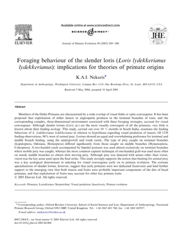 Foraging Behaviour of the Slender Loris (Loris Lydekkerianus Lydekkerianus): Implications for Theories of Primate Origins