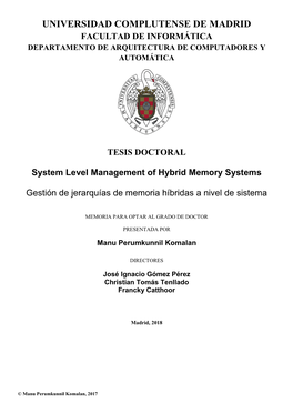 System Level Management of Hybrid Memory Systems