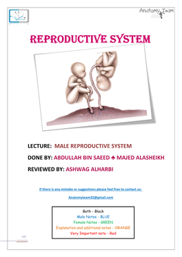 Pelvic Walls, Joints, Vessels & Nerves