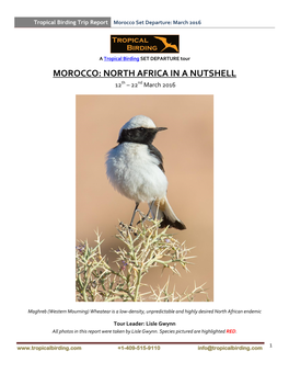 MOROCCO: NORTH AFRICA in a NUTSHELL 12Th – 22Nd March 2016