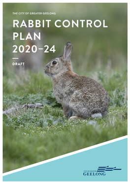 Rabbit Control Plan 2020–24