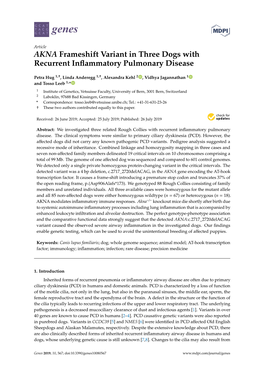 AKNA Frameshift Variant in Three Dogs with Recurrent Inflammatory Pulmonary Disease