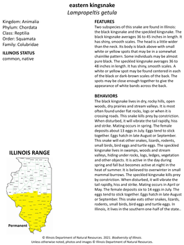 Eastern Kingsnake Lampropeltis Getula ILLINOIS RANGE