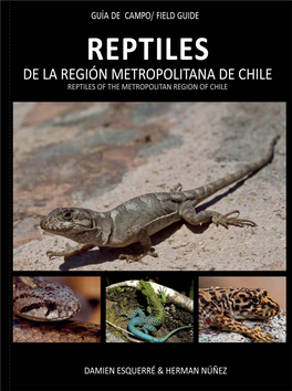 Reptiles De La Región Metropolitana