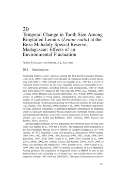 Lemurs (Lemur Catta) at the Beza Mahafaly Special Reserve, Madagascar: Effects of an Environmental Fluctuation