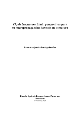 19306 Chysis Bractescens Lindl. Perspectivas Para Su Micropropagación