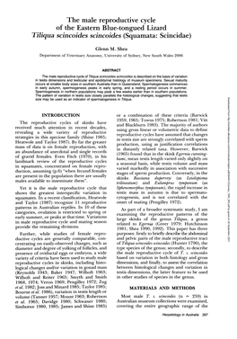 The Male Reproductive Cycle of the Eastern Blue-Tongued Lizard Tiliqua Scincoides Scincoides (Squamata: Scincidae)