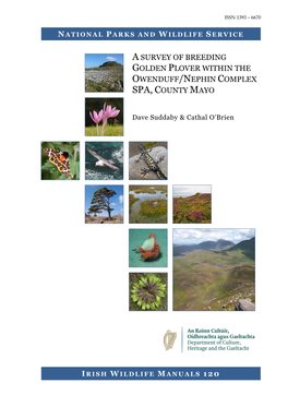 A Survey of Breeding Golden Plover Within the Owenduff/Nephin Complex SPA, County Mayo