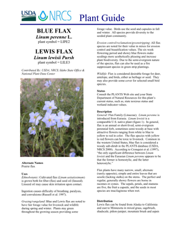 Blue and Lewis Flax