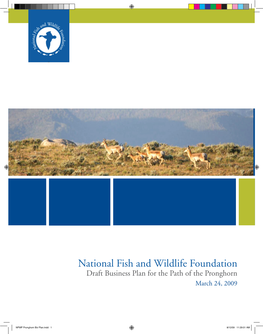 National Fish and Wildlife Foundation Draft Business Plan for the Path of the Pronghorn March 24, 2009