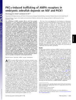 Induced Trafficking of AMPA Receptors in Embryonic Zebrafish Depends on NSF and PICK1