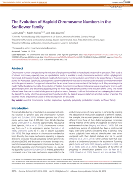 The Evolution of Haploid Chromosome Numbers in the Sunflower Family