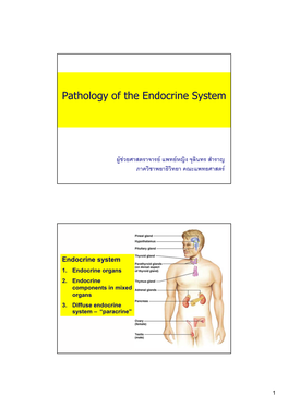 Pathology of the Endocrine System