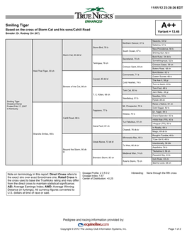 Smiling Tiger A++ Based on the Cross of Storm Cat and His Sons/Cahill Road Variant = 13.46 Breeder: Dr