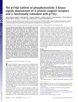 The P110 Isoform of Phosphoinositide 3-Kinase Signals Downstream of G