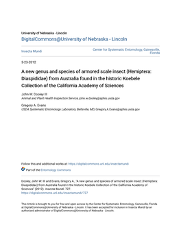 A New Genus and Species of Armored Scale Insect (Hemiptera: Diaspididae) from Australia Found in the Historic Koebele Collection