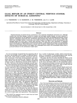 Glial Repair in an Insect Central Nervous System: Effects of Surgical Lesioning’