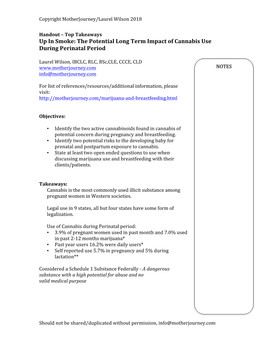 Up in Smoke: the Potential Long Term Impact of Cannabis Use During Perinatal Period