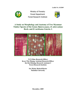 A Study on Morphology and Anatomy of Two Myanmar Timber Species of the Genus Dipterocarpus, D