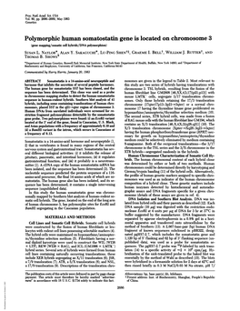 Polymorphic Human Somatostatin Gene Is Located on Chromosome 3 (Gene Mapping/Somatic Cell Hybrids/DNA Polymorphism) SUSAN L