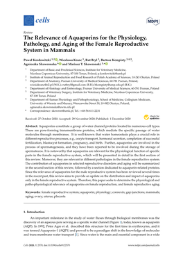 The Relevance of Aquaporins for the Physiology, Pathology, and Aging of the Female Reproductive System in Mammals