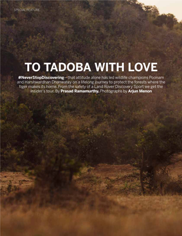 To Tadoba with Love