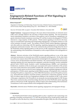 Angiogenesis-Related Functions of Wnt Signaling in Colorectal Carcinogenesis