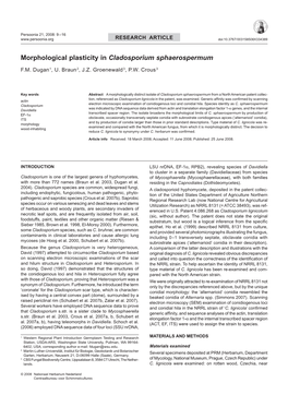 Morphological Plasticity in Cladosporium Sphaerospermum