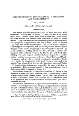 Intumescences on Poplar Leaves. 1. Structure and Development 1