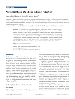 Anatomical Basis of Pedicles in Breast Reduction